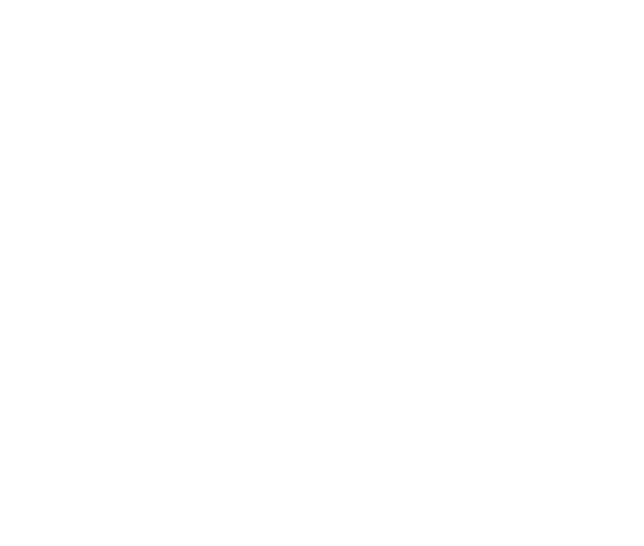 Macaw Deck and Fence